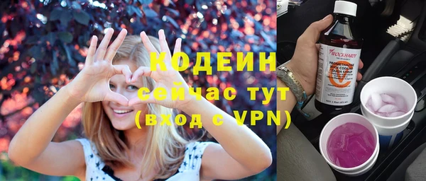 mdpv Бородино