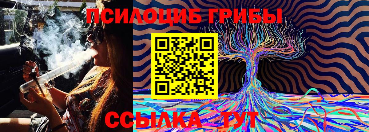 Псилоцибиновые грибы Psilocybine cubensis  Маркс  Галлюциногенные грибы мицелий 