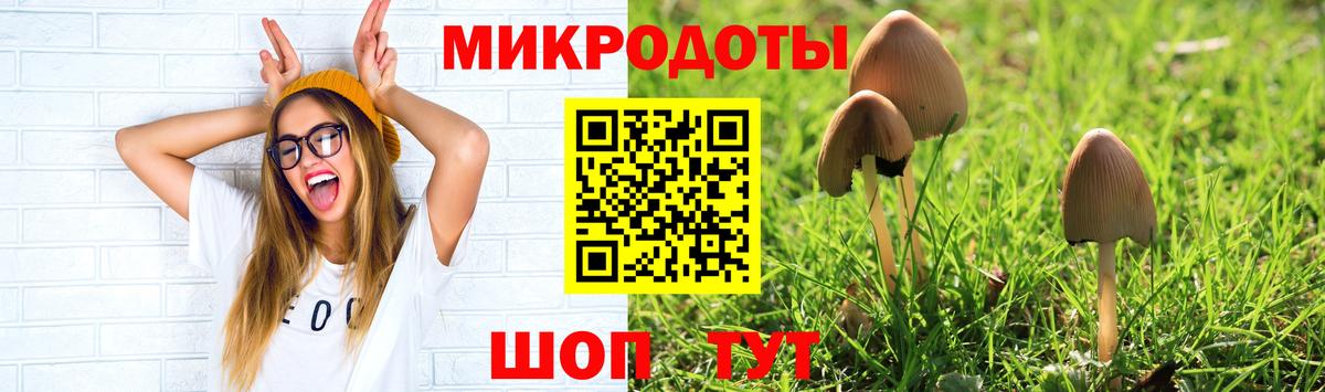 Маркс  Псилоцибиновые грибы Psilocybine cubensis  Вход с VPN 