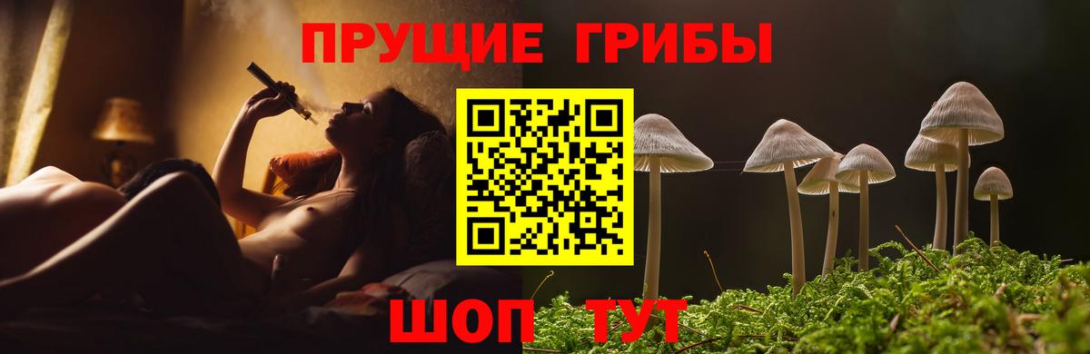 Галлюциногенные грибы Psilocybe Маркс